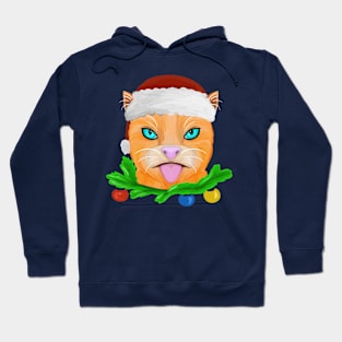 Christmas cat portrait Hoodie